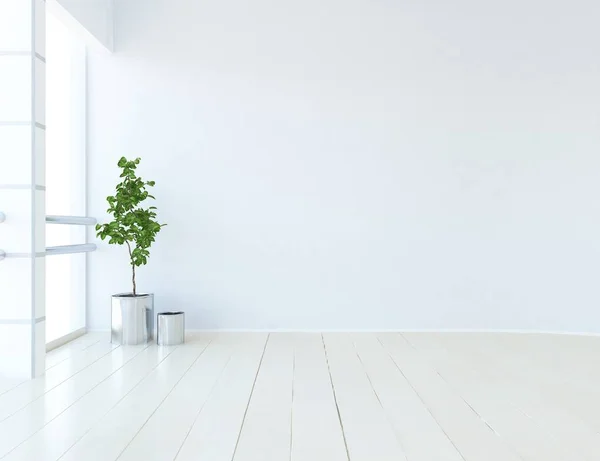 Idea Una Habitación Escandinava Vacía Blanca Interior Con Planta Suelo — Foto de Stock