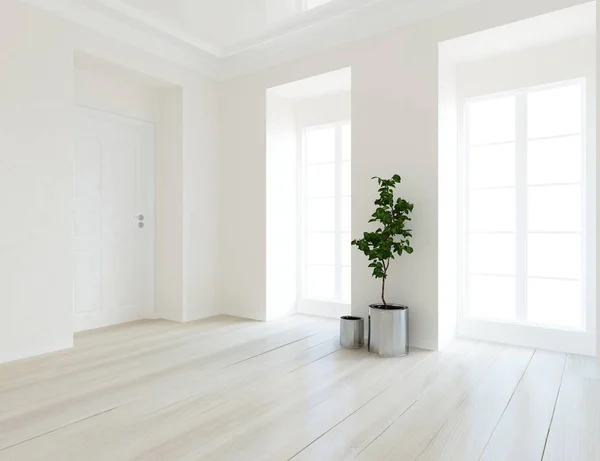 Ide Interior Ruangan Skandinavia Putih Kosong Dengan Tanaman Lantai Kayu — Stok Foto