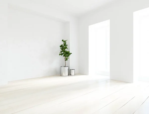 Idea Una Habitación Escandinava Vacía Blanca Interior Con Planta Suelo — Foto de Stock