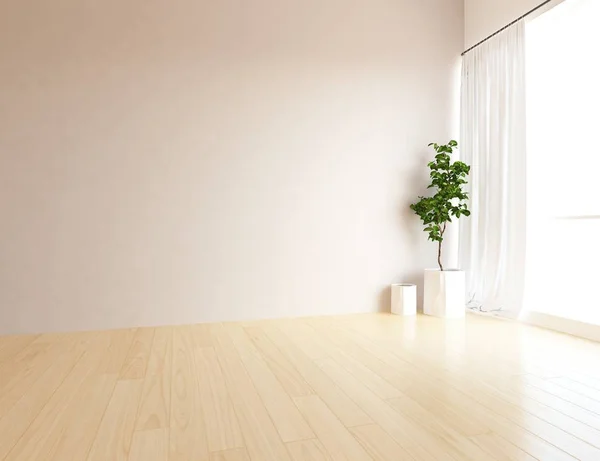 一个白色的空斯堪的纳维亚房间内部与植物在木地板的想法 家北欧内饰 — 图库照片