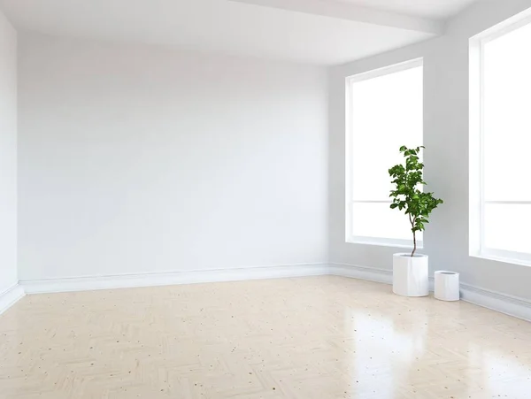 Idea Una Habitación Escandinava Vacía Blanca Interior Con Planta Suelo — Foto de Stock