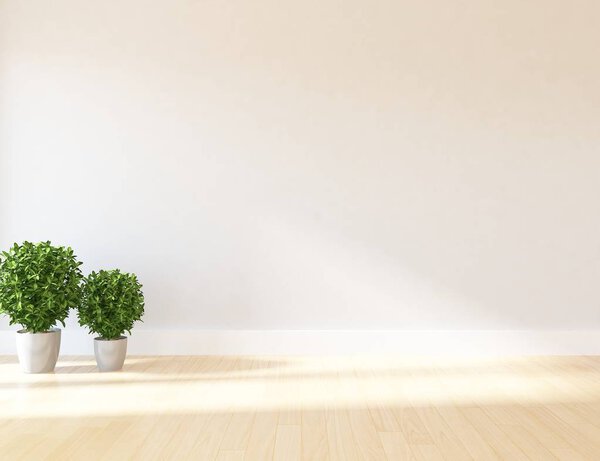 Idea of  empty scandinavian room interior with plants on the wooden floor . Home nordic interior. 3D illustration