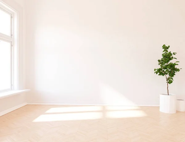 Idée Chambre Scandinave Vide Intérieur Avec Plante Sur Sol Bois — Photo