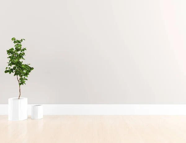 Idea Empty Scandinavian Room Interior Plant Wooden Floor Home Nordic — Stock Photo, Image