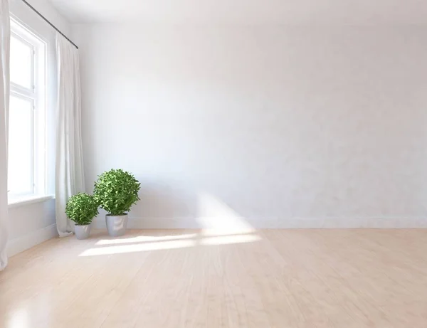 Idée Chambre Scandinave Vide Intérieur Avec Des Plantes Sur Sol — Photo