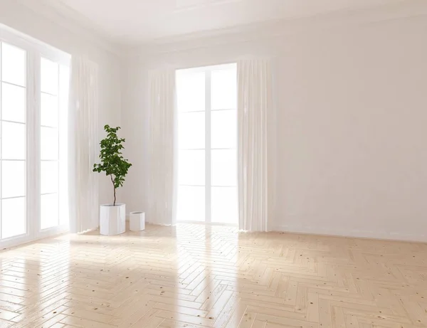 空荡荡的斯堪的纳维亚房间内部的想法与植物在木地板上 家北欧内饰 — 图库照片