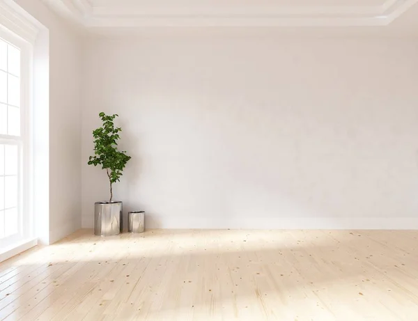 Idea Habitación Escandinava Vacía Interior Con Planta Sobre Suelo Madera — Foto de Stock