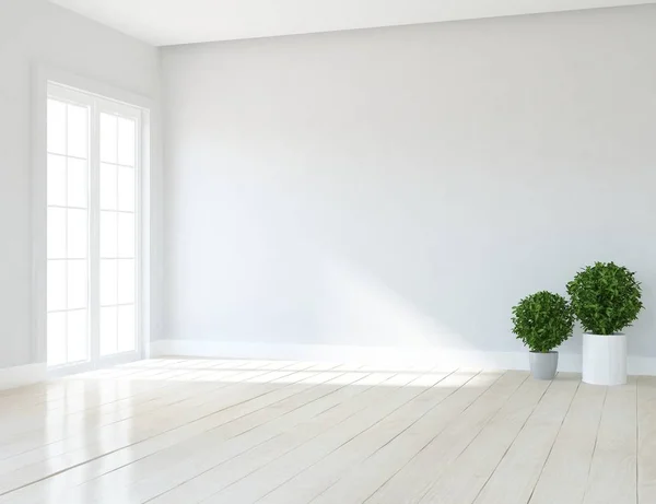 Idea Empty Scandinavian Room Interior Plants Wooden Floor Home Nordic — Stock Photo, Image