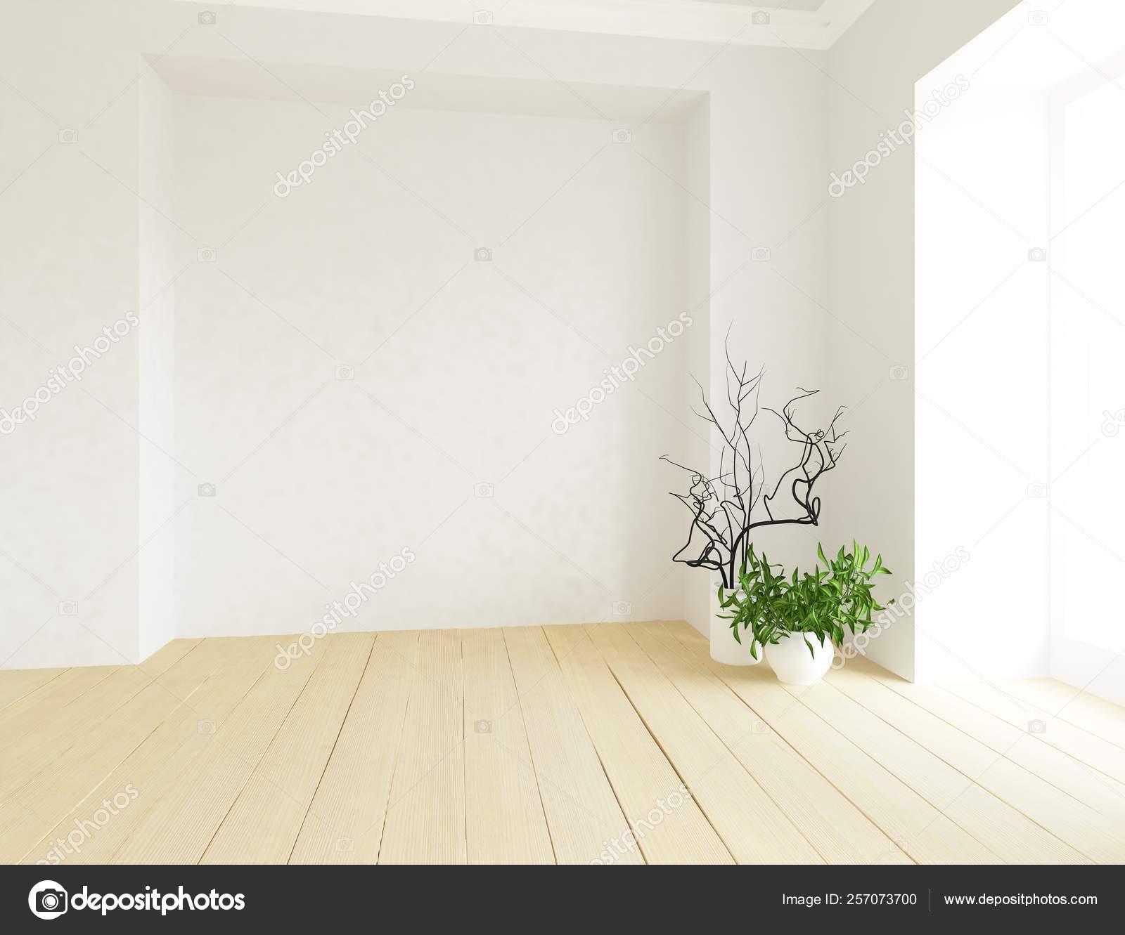 一个白色的空斯堪的纳维亚房间内部的想法与植物在木地板和大墙背景内饰家北欧内饰 图库照片 C Pavelshinkarev87 Gmail Com 257073700
