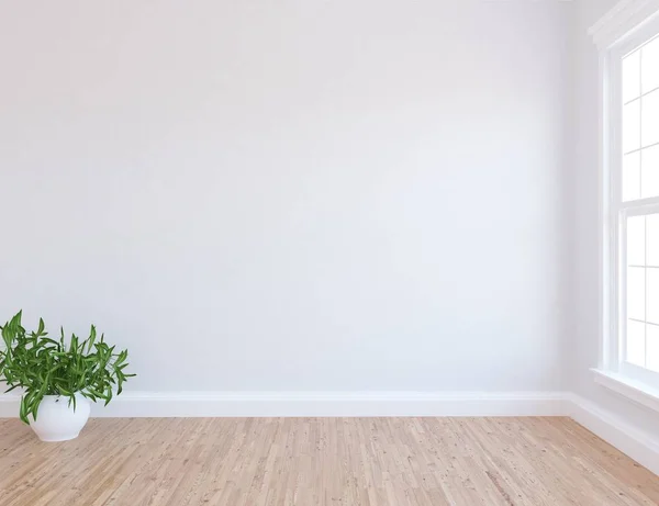 Idée Une Chambre Blanche Scandinave Vide Intérieur Avec Plante Sur — Photo