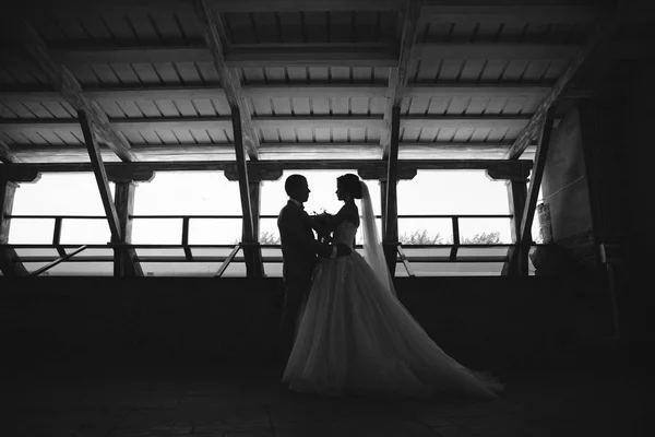 Silhouette appena sposata coppia di bellissimo sposo in un abito da lavoro grigio e una sposa in un lussuoso abito bianco con un velo con incredibile taglio di capelli. Sposi novelli il giorno del matrimonio . — Foto Stock