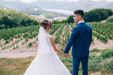 Güzel bir çift aşık dağ ve göl hayran doğada yürür. Karı koca birbirlerine ve göz gülümsemek, onlar evli mutlu olduklarını.
