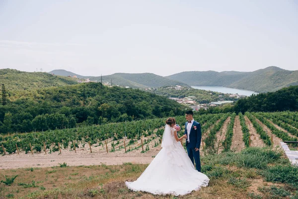 Bruden och brudgummen efter ceremonin promenad i naturen. Ett foto av ett nygift par i bakgrunden av flod, kullar och vingårdar. — Stockfoto