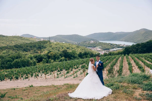 En man i en strikt kostym och en flicka i en posh bröllopsklänning som poserar i naturen bland vingårdar, berg och sjöar. — Stockfoto