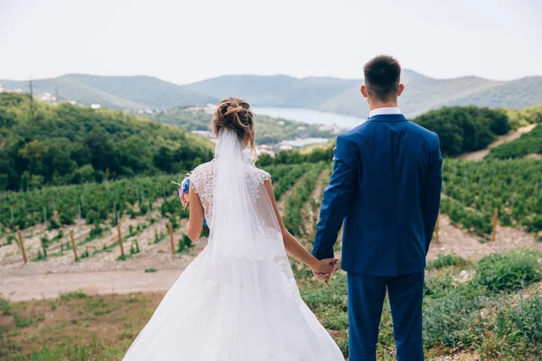 Un uomo e una donna appena sposati, si tengono stretta la mano e guardano al futuro. La coppia ammira la bellezza della natura, il sole. Una ragazza in un bellissimo abito da sposa e un uomo in un vestito — Foto Stock