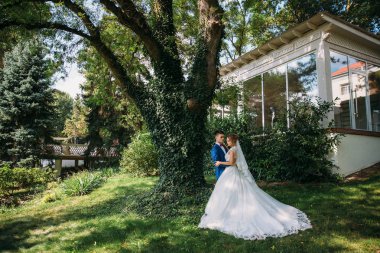 Gelin ve damat hangi bagajında Bush'larda kaplı büyük eski bir ağaç altında poz. Yeşil bir arka plan üzerinde uzun beyaz bir elbise içinde gelin nişanlısı kucaklayan.