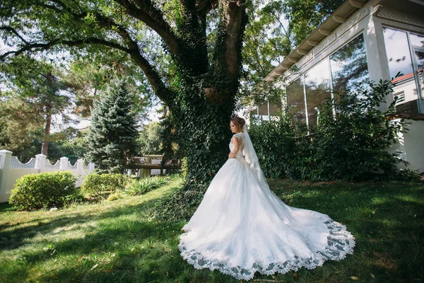 A menina colocou um vestido de noiva longo chique e véu bordado. O modelo coloca contra o pano de fundo de um carvalho alto, admirando seu traje . — Fotografia de Stock