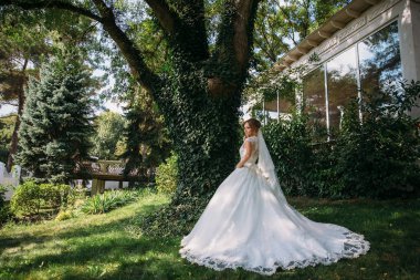 Sarışın güzel bir gelinlik büyük bir ağacın yanında duruyor. Gelin yeşil çim yürür ve doğa hayran.