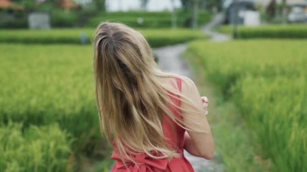 Visão traseira de uma jovem loira bonita com cabelos longos usa um sarafan vermelho, fica em um caminho estreito no campo de arroz, toca suavemente o cabelo com as mãos, gira a cabeça, relaxa em câmera lenta — Vídeo de Stock