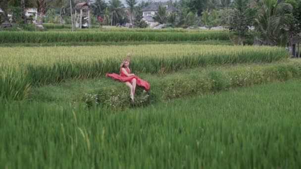 そっと彼女の手を移動、日光浴、彼女の足を開いて、彼女の周り彼女のロング スカートに広がる美しく面取りご飯の上の田んぼに座っている明るい赤いドレスを着た白髪の女の子 — ストック動画