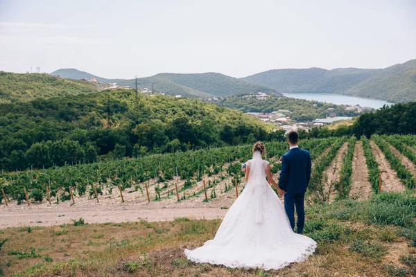 En man och en kvinna beundra skönheten i naturen, Håll händerna hårt och göra planer för framtiden. Bröllop promenad i naturen. — Stockfoto