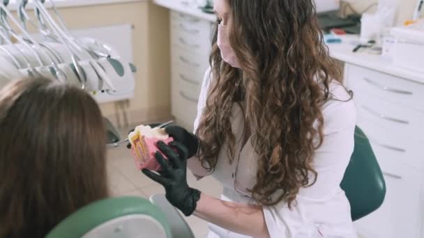 Hermosa morena de pelo largo médico dentista en un apósito médico sostiene en las manos de una maqueta de dientes humanos y se detiene clase, pulgar hacia arriba a su paciente, ella también muestra un pulgar hacia arriba — Vídeos de Stock