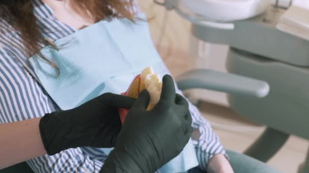 Крупный план замедленной съемки стационарного врача-дантиста в стерильных медицинских перчатках держит в руках человеческую манекенщицу. Показывает пациенту внутреннюю структуру зуба, демонтирует компоненты . — стоковое видео