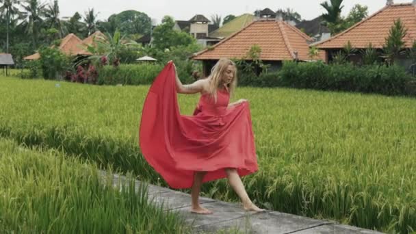 Vista da parte de trás de uma bela menina esbelta danças europeias no campo de arroz, corre e salta e mostra suas emoções, sofre sobre o amor perdido, expressa seus sentimentos com a dança, usa um vestido longo — Vídeo de Stock