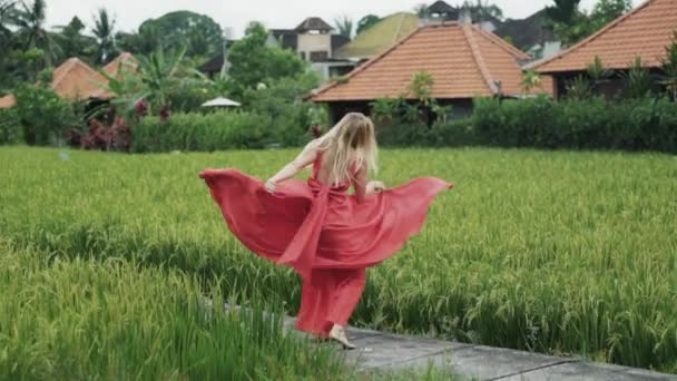Una hermosa rubia joven con una figura elegante baila en un campo de arroz verde un baile lento y elegante, agitando su larga y exuberante falda del vestido, tocándose el pelo con las manos. El concepto de alma — Vídeo de stock