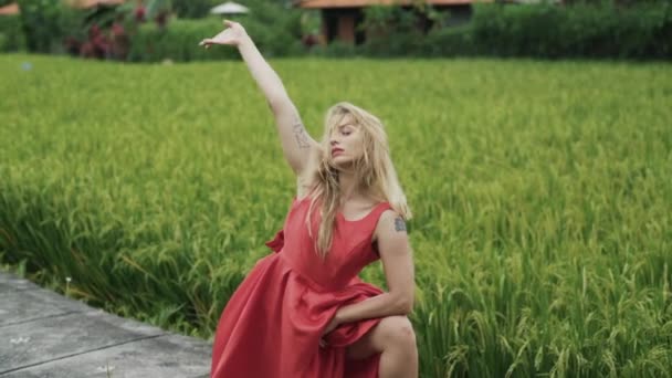Kadın Dansçı Slow Bir Dans Doğada Gerçekleştirir Pirinç Tarlaları Güneşin — Stok video