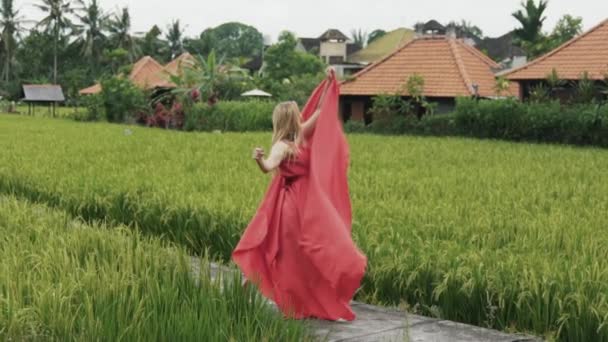 A lonely young dancer walks along the rice terrace in a red long silk dress, dances, raises her flowing skirt, which beautifully soars with the wind, shows her athletic legs, enjoys the art of dancing — Stock Video