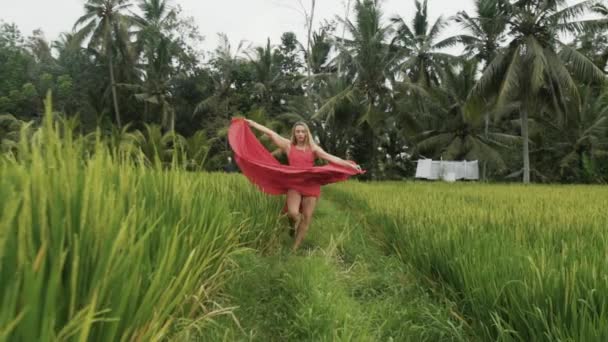 Lentamente disparar a la chica en un vestido de gracia largo rojo va hacia adelante, alto plantea piernas delgadas y apretadas, sostiene una falda larga con sus manos, y las olas, desarrollándolo en el viento. El modelo corre a través de la — Vídeos de Stock