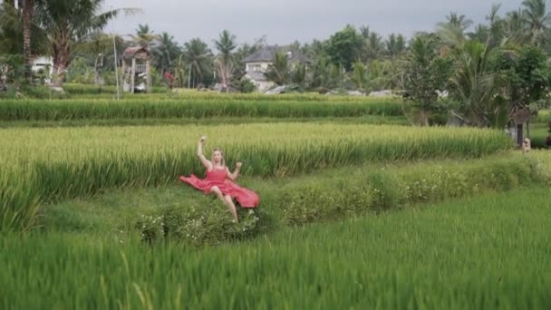 Jovem menina bonita senta-se em um campo de arroz verde apreciando a natureza e beleza ao redor, acaba de chegar na ilha, vestir um vestido longo e brilhante e lindamente espalhar sua saia na grama. Devagar. — Vídeo de Stock