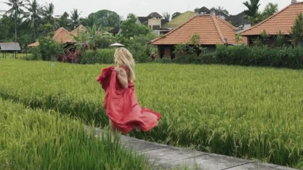 一个穿着长红色连衣裙的金发女郎, 穿着一条丝绸飞裙穿过稻田。观看从后面慢动作射击女孩逃跑的东西, 长夏装的裙子发展在 — 图库视频影像
