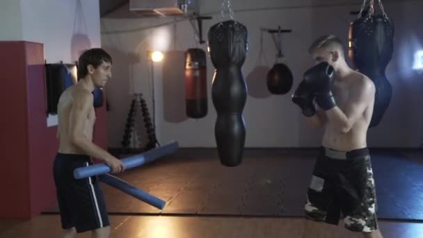 Cropped frame, the athlete prepares for battle. The coach works with the boxer speed and accuracy of impact. Boxer training, boxing gloves, boxing pears. The concept of sport, strength, boxing — Stock Video