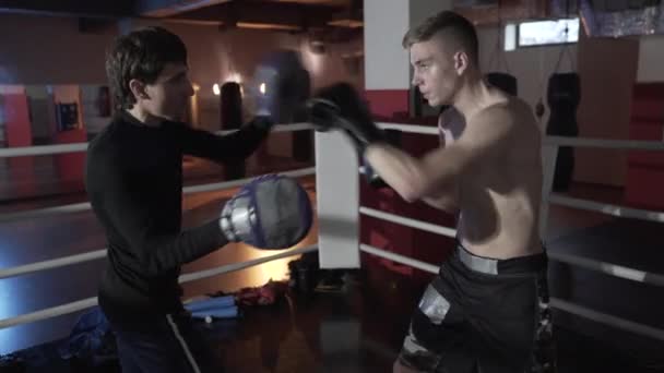 O jovem pugilista reflete os ataques de seu oponente. o treinador lida com a sua carga no ringue, ataques e desvios ataques. Vista lateral de perto. O conceito de boxe, anel, roupa de boxe . — Vídeo de Stock