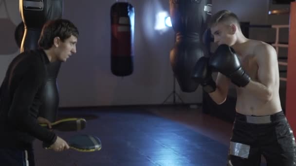 Boxaren uppfyller slagen tillsammans med coachen. En sport kille i boxning handskar på boxning tassar, coachar ett slag. Begreppet sport, boxning, män, blåser. — Stockvideo