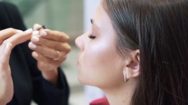 Close-up view of the side of the face of a young brunette model with closed eyes, stylized dyeing the girl with shadows upper eyelid, gently brushes the product with a finger, shakes, opens into the — Stock Video