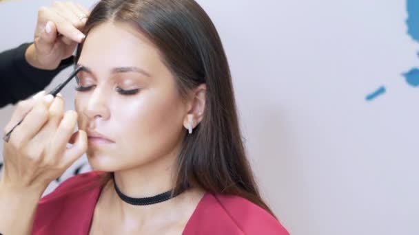 Nahaufnahme einer jungen attraktiven Brünette mit alltäglichem Make-up. Die Stylistin streicht den Mädchen mit einem Federkiel die Augenbrauen. das Konzept von Make-up, Schönheit, Aussehen, Kosmetik. — Stockvideo