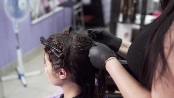 Un primer plano de una toma en cámara lenta de una chica que usa guantes, un estilista divide el cabello oscuro húmedo de los clientes en hebras antes de aplicar la composición de queratina . — Vídeo de stock