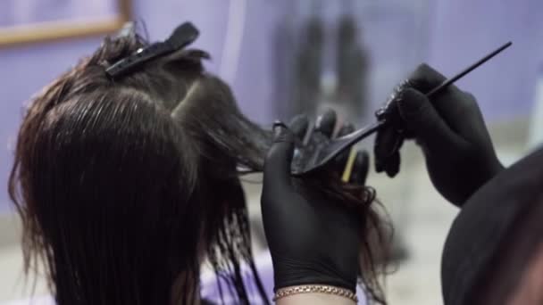 Detail oříznutého snímku stylista platí pro vlhké vlasy keratin dívka s pomocí štětce, distribuuje složení po celé délce vlasů — Stock video