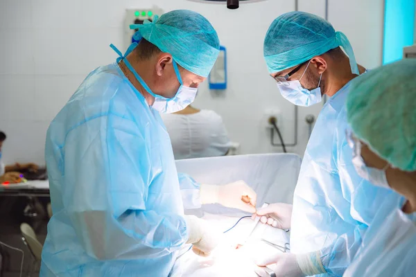 Uma equipe de médicos em roupas médicas estéreis realiza uma operação em um hospital. Trabalho profissional na clínica, cirurgiões são homens com uma mulher assistente. O conceito de saúde, medicina . — Fotografia de Stock