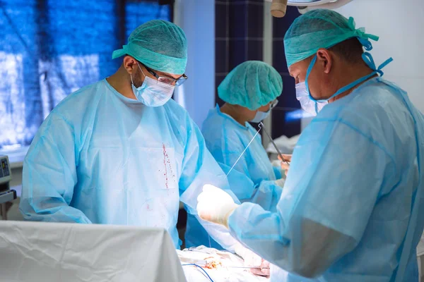 Un equipo de médicos con ropa médica estéril realiza una operación en un hospital. Trabajo profesional en la clínica, los cirujanos son hombres con una mujer asistente. El concepto de salud, medicina . —  Fotos de Stock