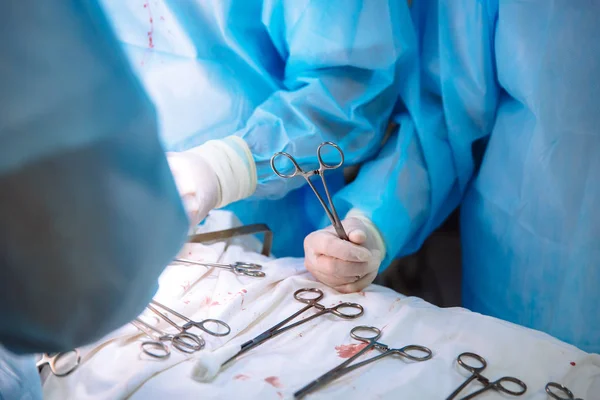 Close-up surgical instruments on a medical table in a clinic during surgery. Metal sterile scissors, clamp, surgical needle at the table or in doctor hand. The concept of health, tools.