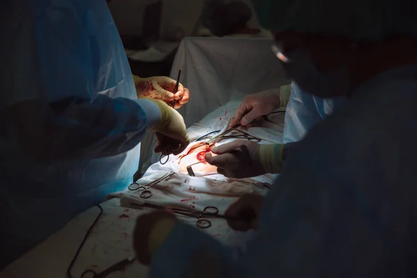 Detail ruce, tým lékařů během operace, chirurgické nástroje na stůl — Stock fotografie