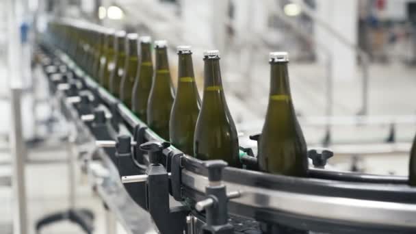 Glass bottles on the automatic conveyor line at the champagne or wine factory. Plant for bottling alcoholic beverages. — Stock Video