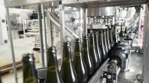 Garrafas de vidro na linha de transporte automático na fábrica de champanhe ou vinho. Instalação para engarrafamento de bebidas alcoólicas . — Vídeo de Stock
