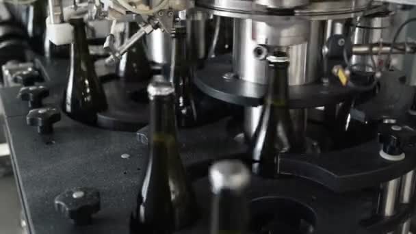 Bottiglie di vetro sulla linea di trasporto automatico presso la fabbrica di champagne o vino. Impianto di imbottigliamento bevande alcoliche . — Video Stock