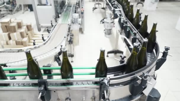 Glasflaskor på raden Automatisk transportband på champagne eller vin fabriken. Anläggning för buteljering alkoholhaltiga drycker. — Stockvideo