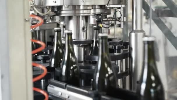 Glazen flessen op de lijn van de automatische transportband aan de champagne of wijn fabriek. Plant voor het bottelen van alcoholhoudende dranken. — Stockvideo